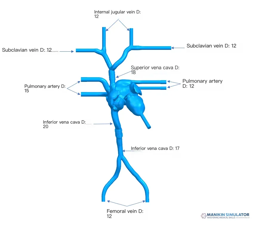 Drawing of Atrial septal puncture operation training model-A (Static version, including replaceable atrial septal puncture film) Drawing of Atrial septal puncture operation training model-A (Static version, including replaceable atrial septal puncture film)