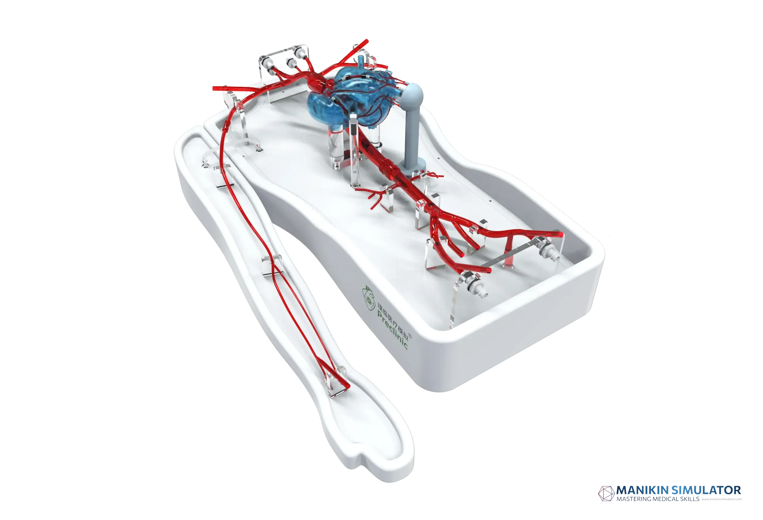 Drawing of Coronary Training Model -B(Pulse version) Drawing of Coronary Training Model -B(Pulse version)