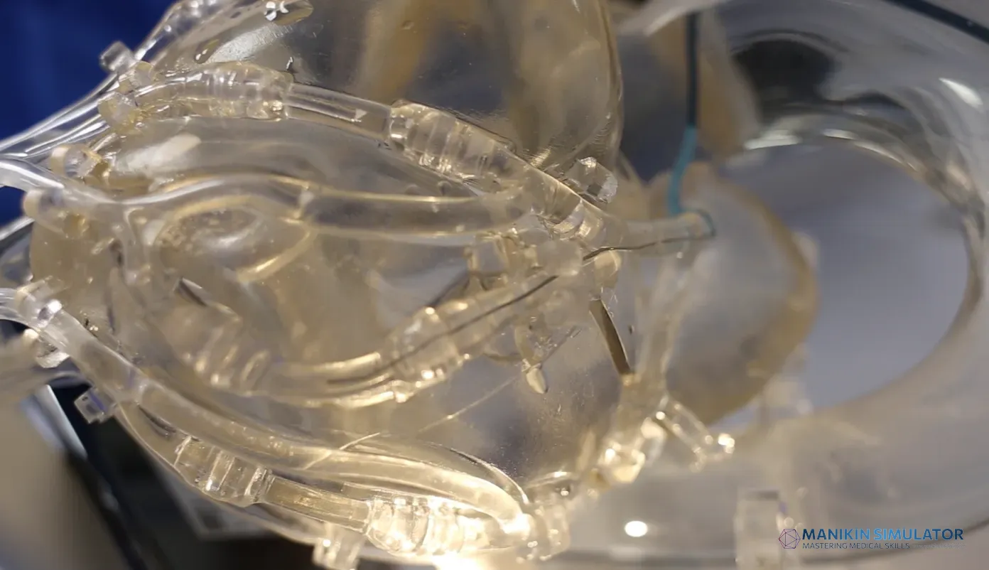 Drawing of Coronary Training Model -B(Pulse version) Drawing of Coronary Training Model -B(Pulse version)