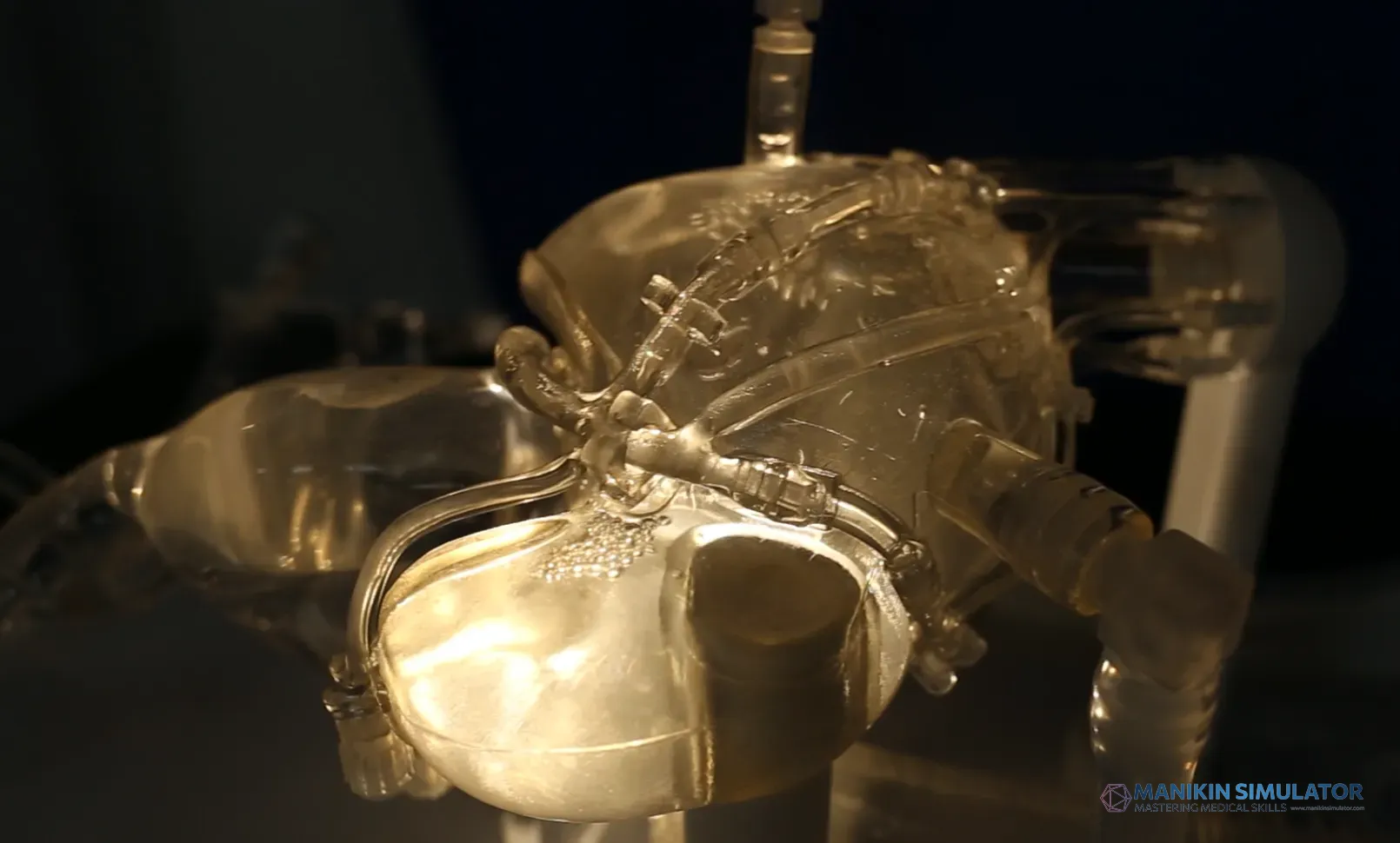 Drawing of Coronary Training Model -B(Pulse version) Drawing of Coronary Training Model -B(Pulse version)