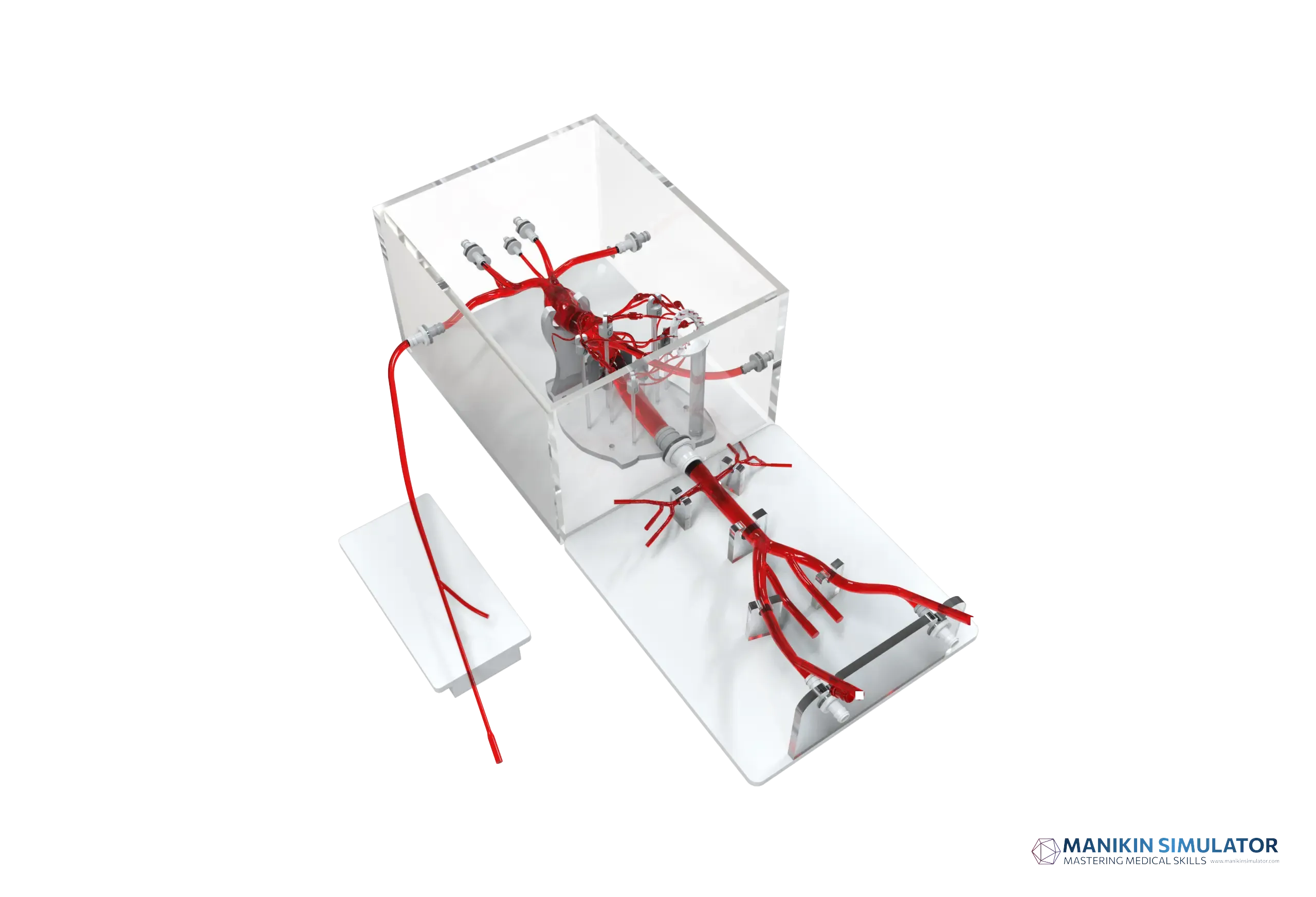 Drawing of Coronary Training Model - C(Immersion version) Drawing of Coronary Training Model - C(Immersion version)