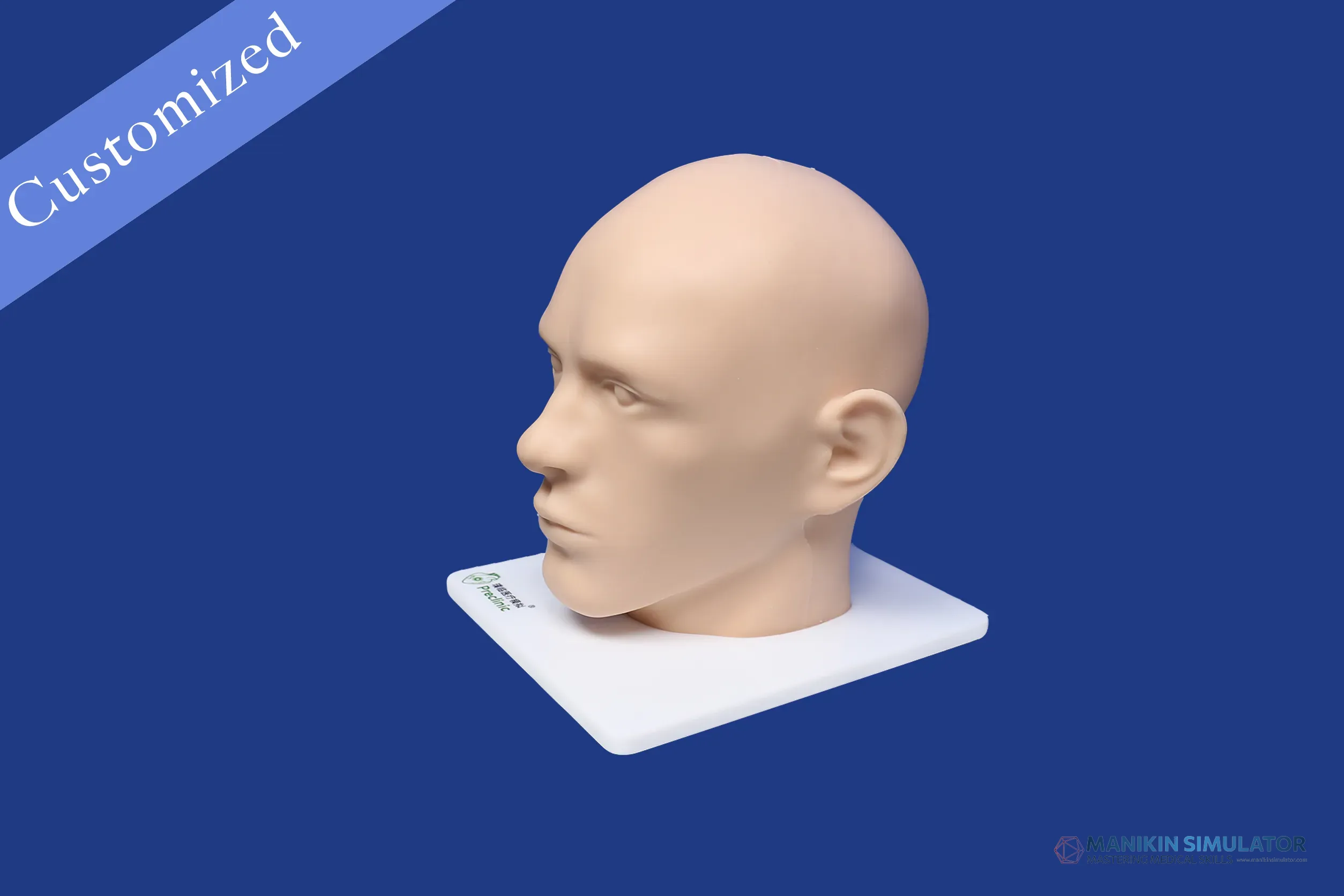 Drawing of ENT Category Drawing of ENT Category