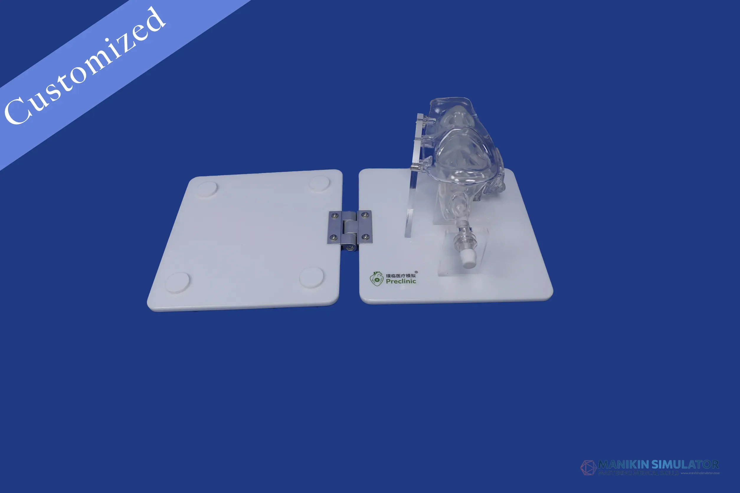 Drawing of ENT Category Drawing of ENT Category