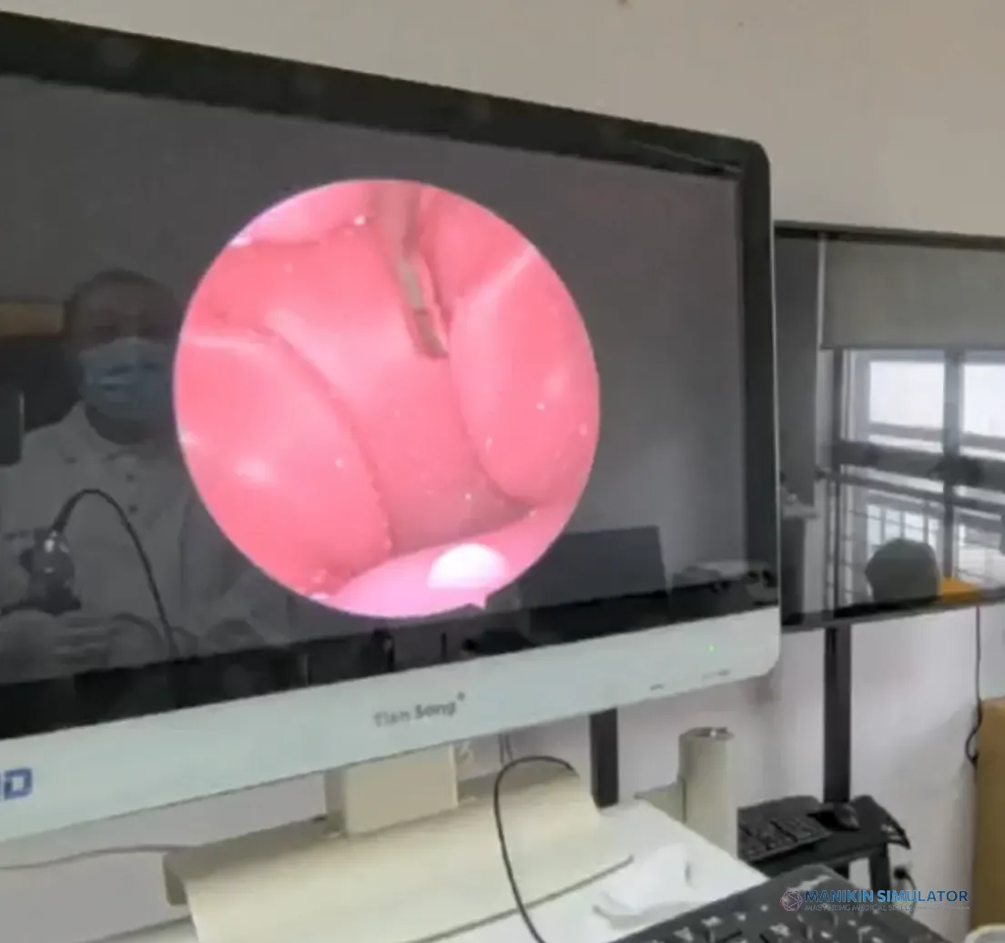 Drawing of ENT Endoscopy Training Model Drawing of ENT Endoscopy Training Model