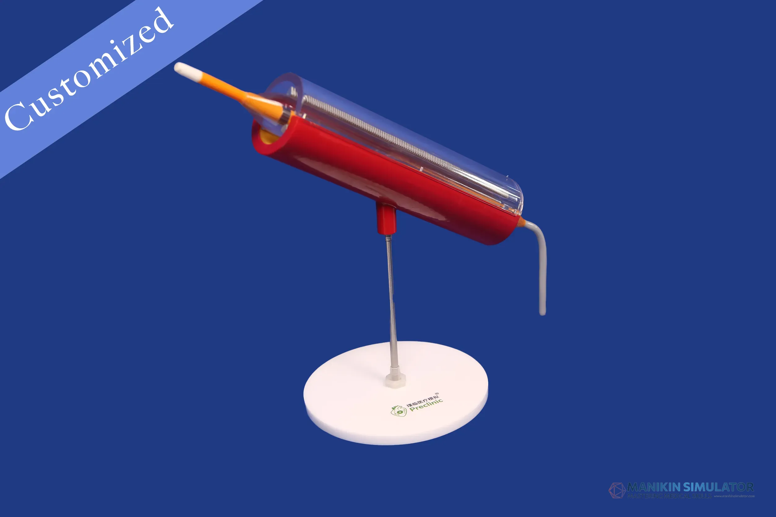 Drawing of Exhibition Category