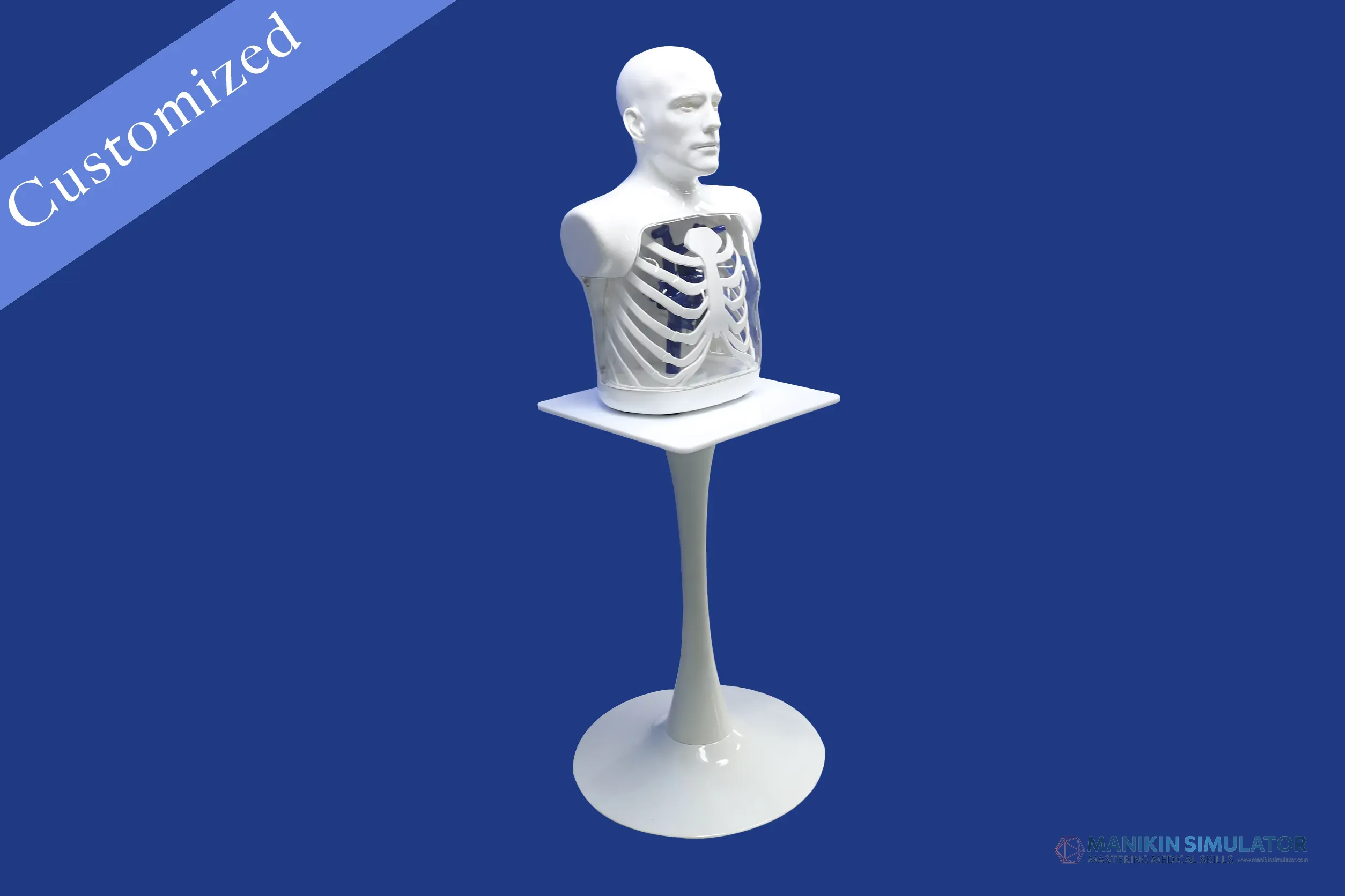 Drawing of Exhibition Category