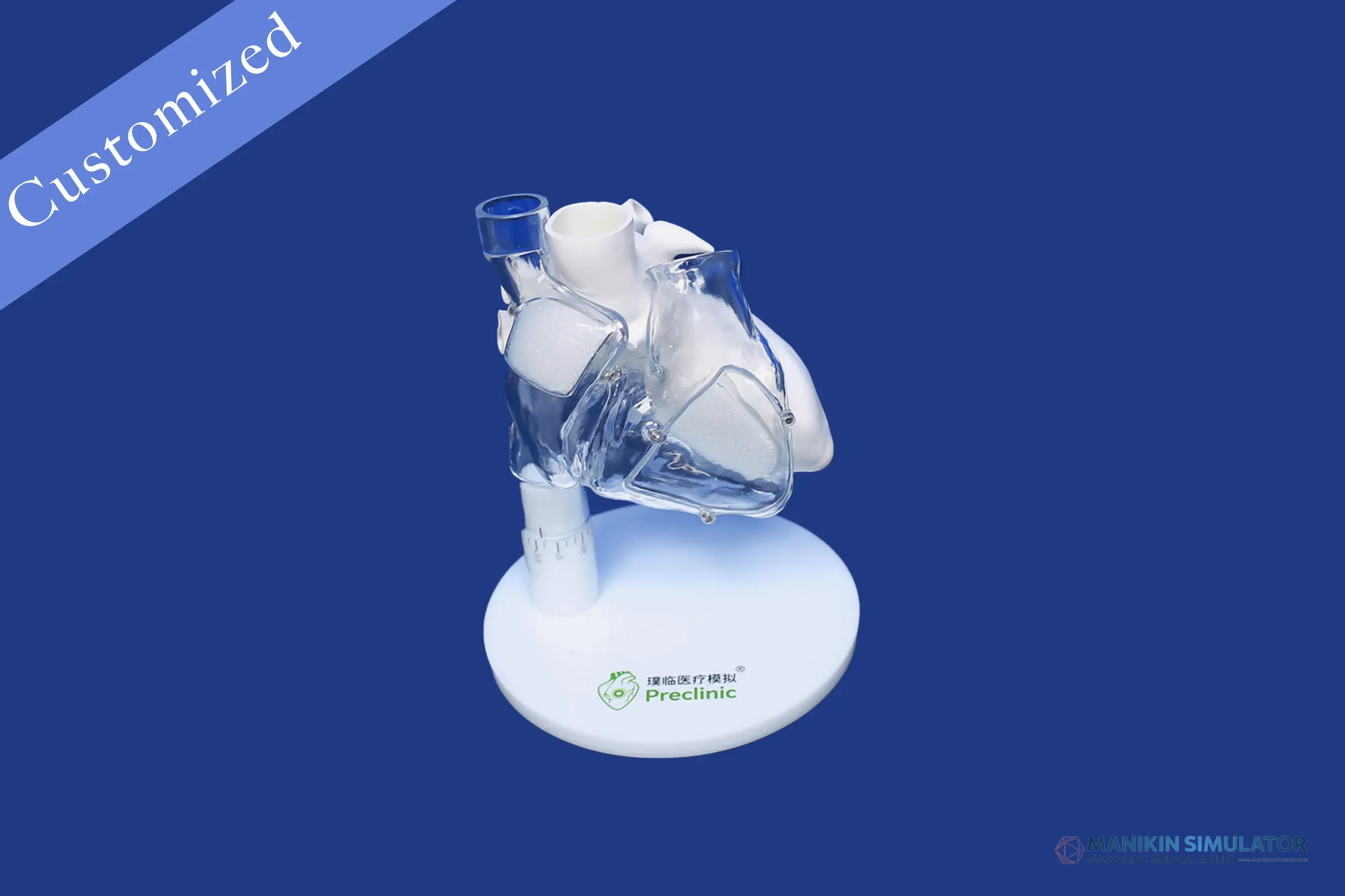 Drawing of Exhibition Category