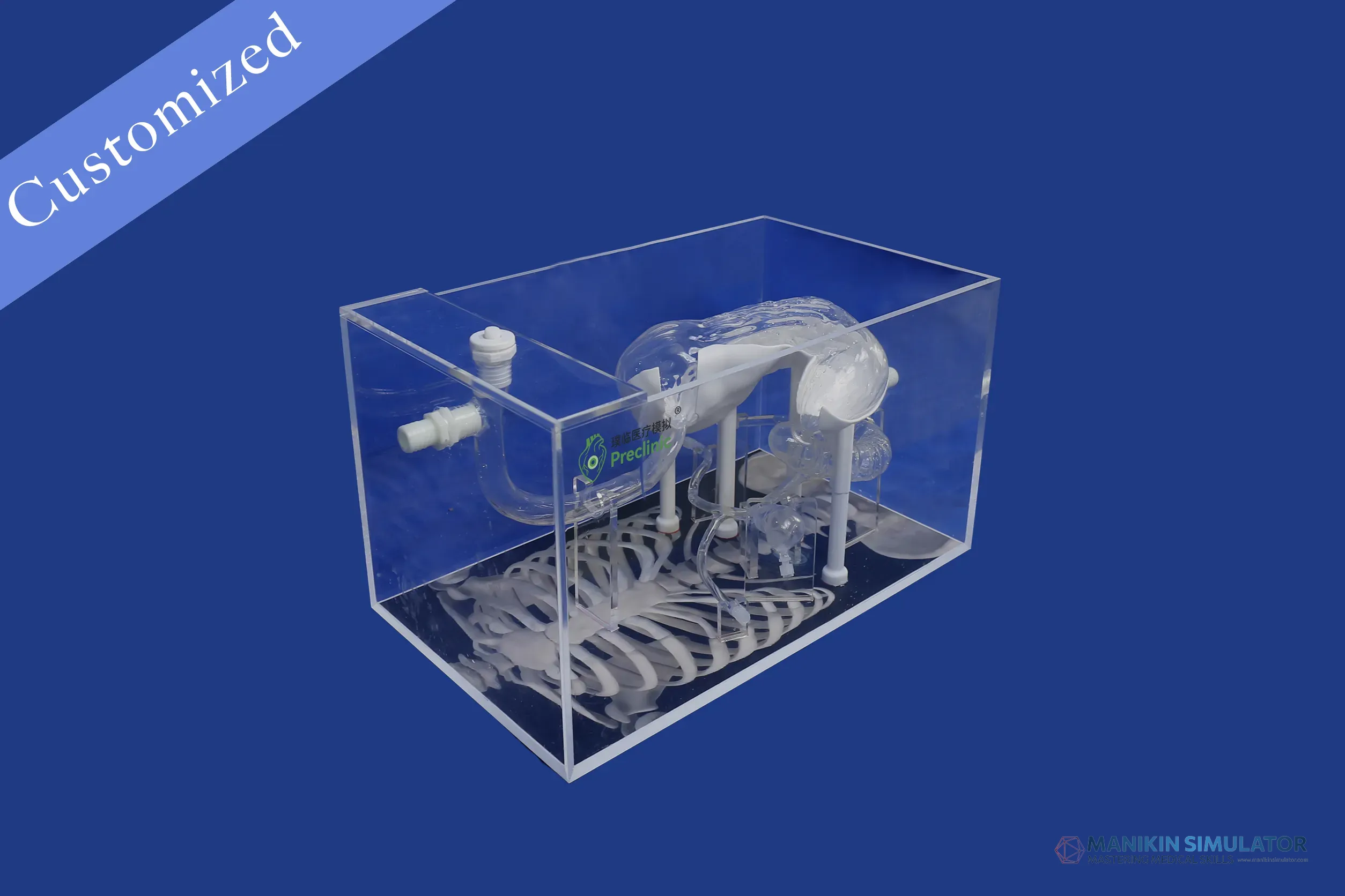 Drawing of Gastroenterology Category