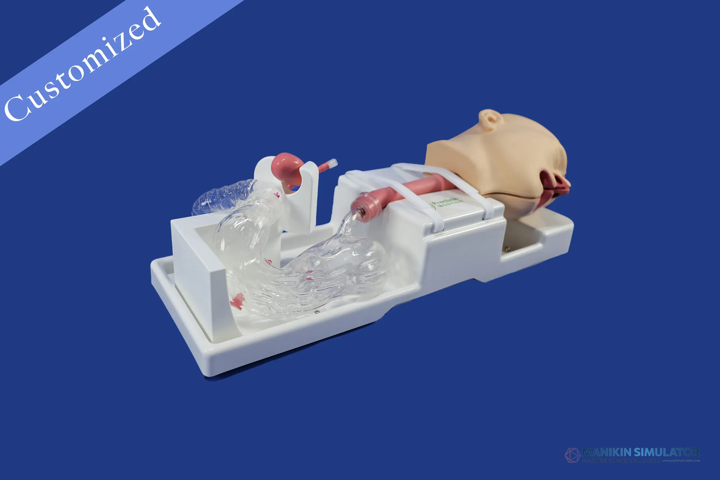 Drawing of Gastroenterology Category