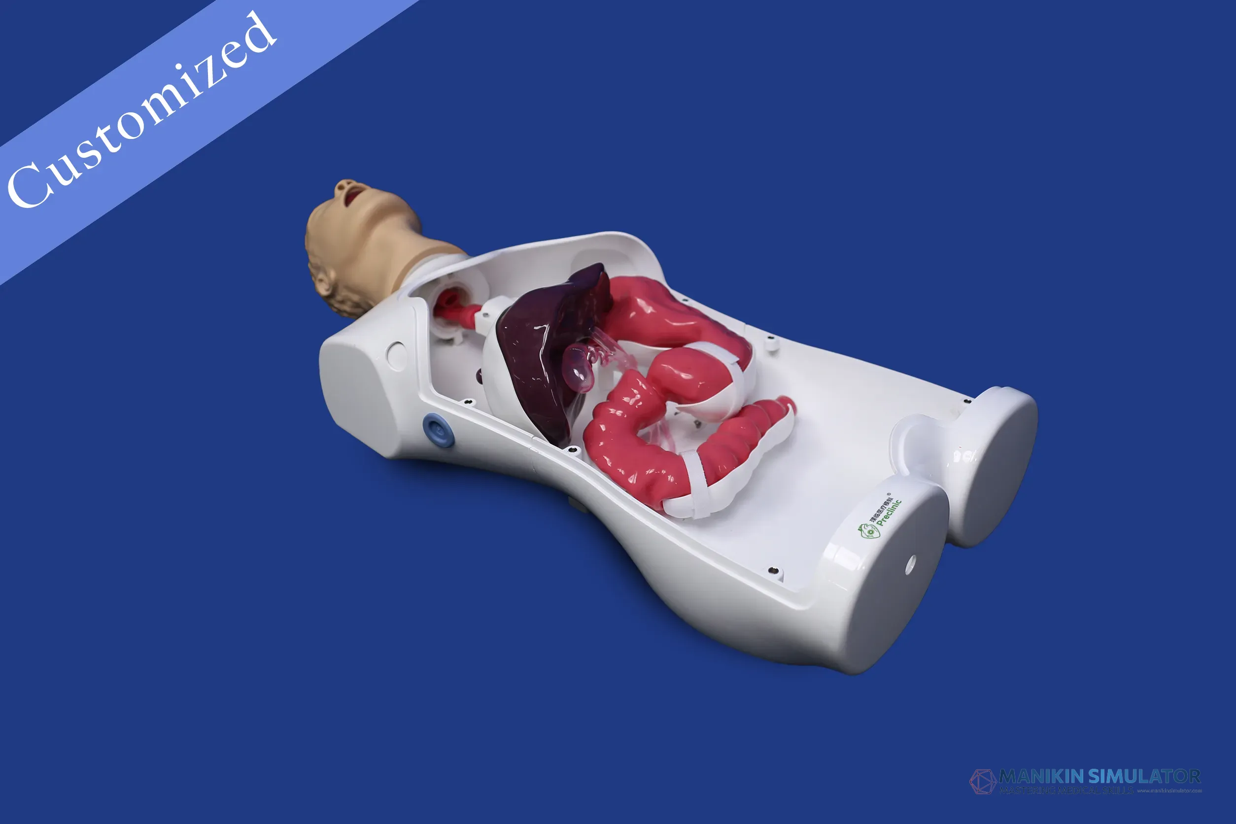 Drawing of Gastroenterology Category