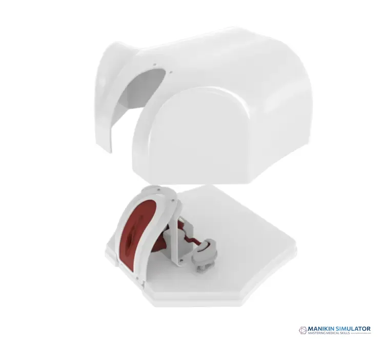 Drawing of Hysteroscopy Training Model Drawing of Hysteroscopy Training Model