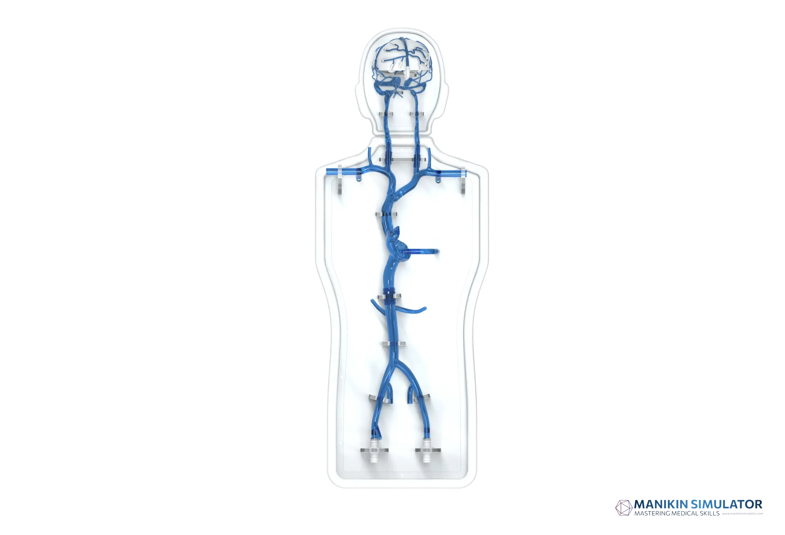 Drawing of Intracranial-Femoral Operation Vein Model