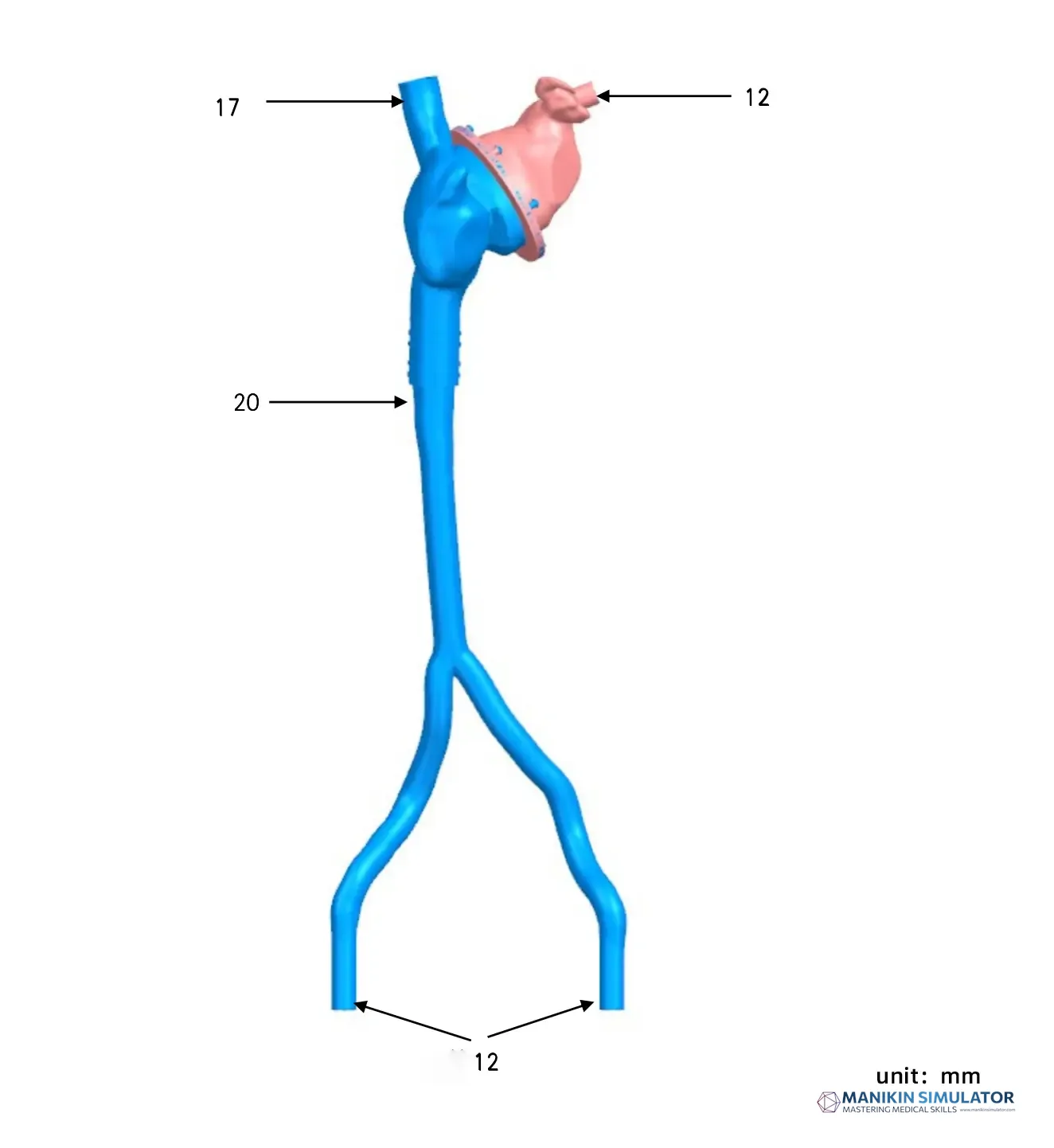 Drawing of Left atrial appendage training model Drawing of Left atrial appendage training model