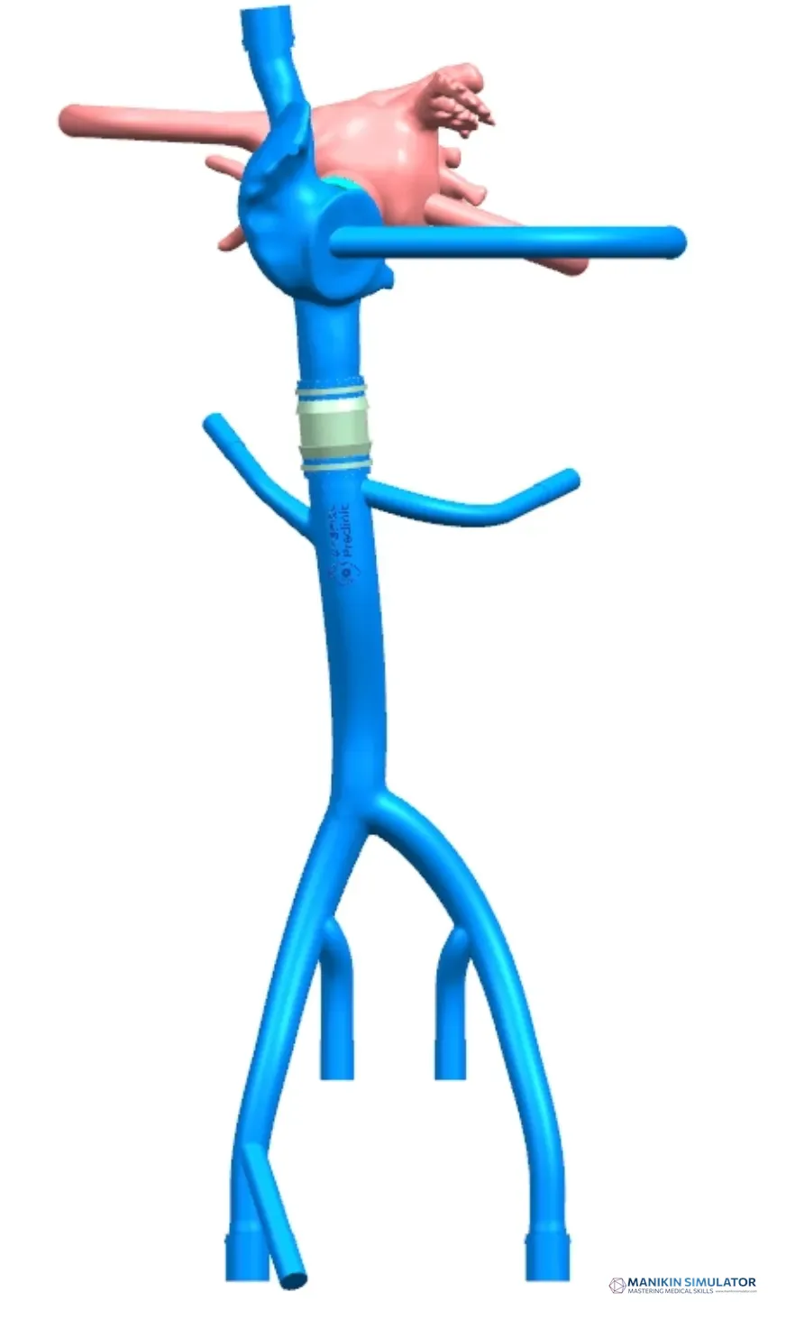 Drawing of Left atrial appendage training model Drawing of Left atrial appendage training model