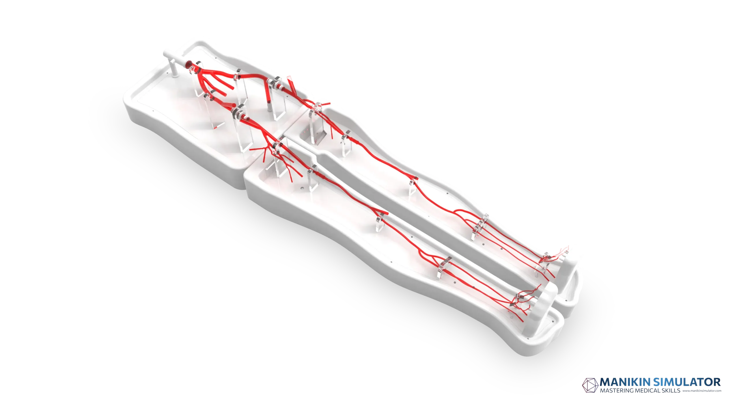Drawing of Lower Extremity Artery Simulation Model Drawing of Lower Extremity Artery Simulation Model