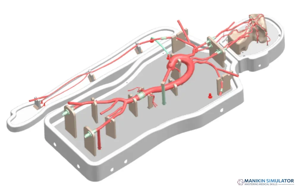 Drawing of Neurovascular Operation Training Model-Type A