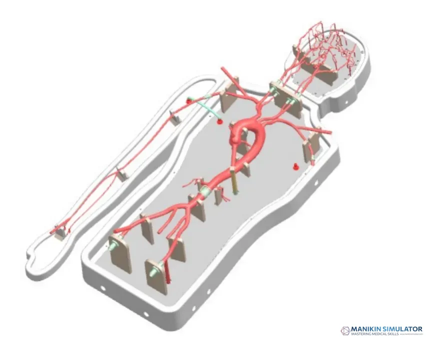 Drawing of Neurovascular Operation Training Model-Type B