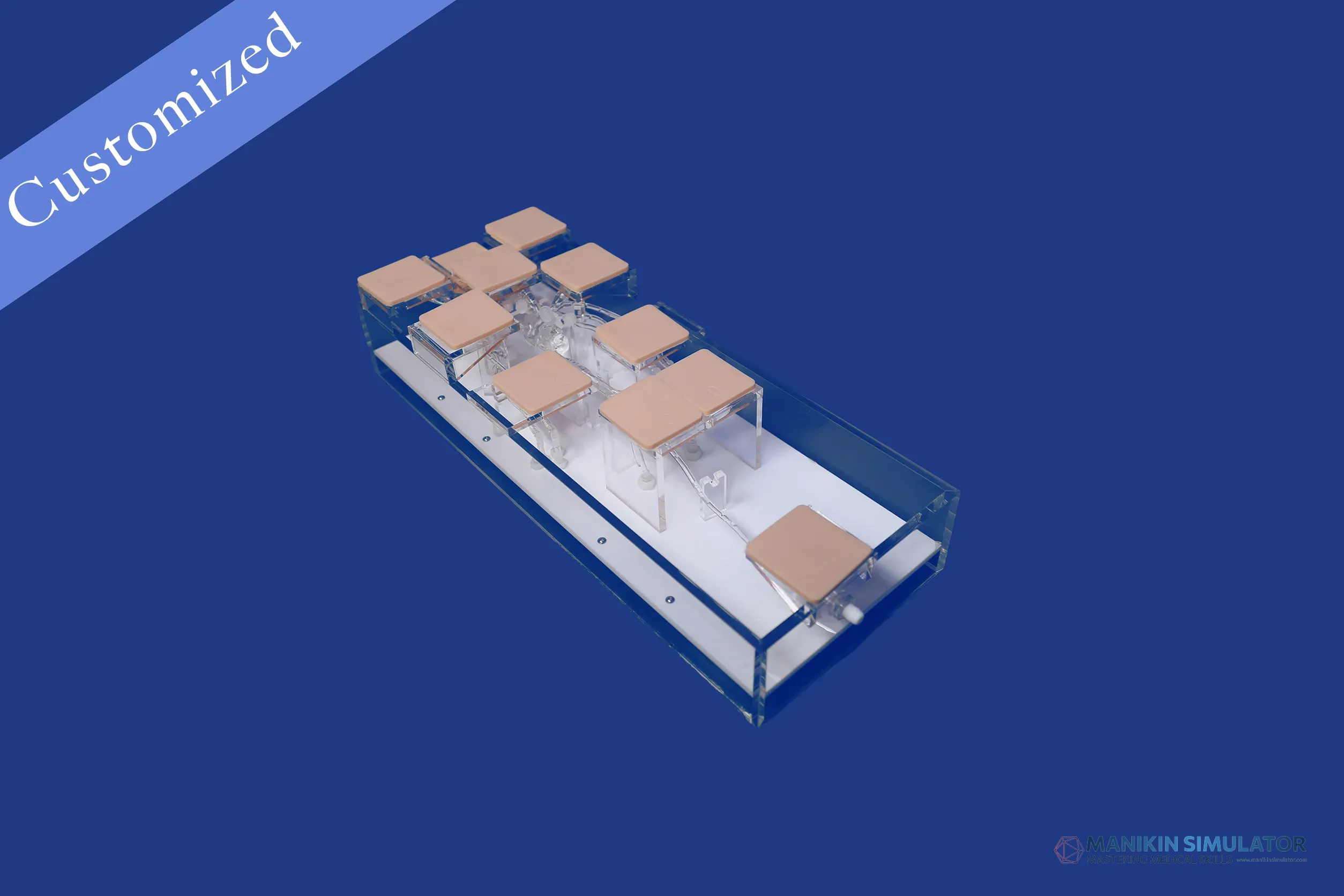 Drawing of Pediatrics Category Drawing of Pediatrics Category