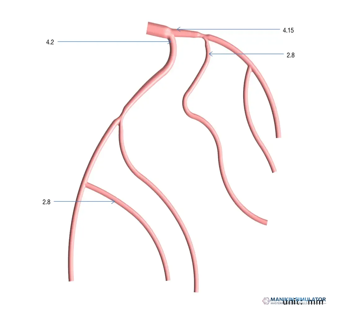 Drawing of Planar Left Coronary Vessel Model (Radial Artery Approach) Drawing of Planar Left Coronary Vessel Model (Radial Artery Approach)