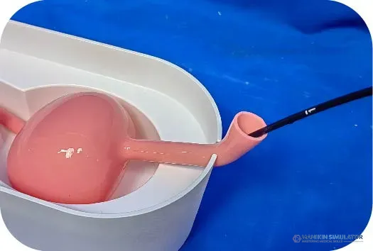 Drawing of Portable Urinary System Model (Single Kidney + Bladder)