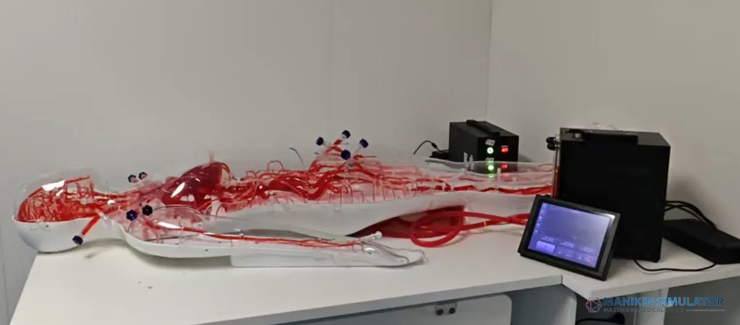 Drawing of Pulsating pump - Type C