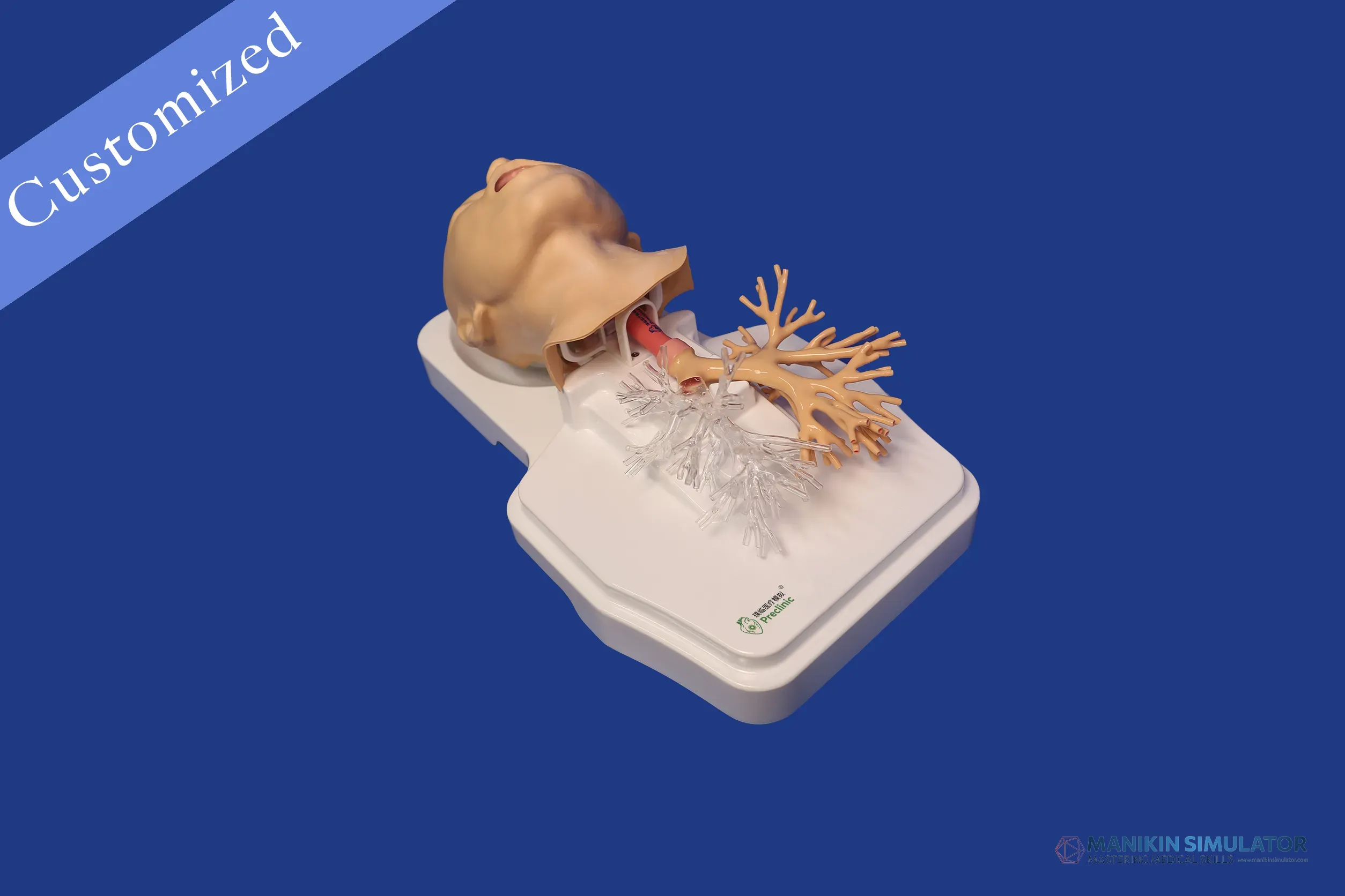 Drawing of Respiratory Category