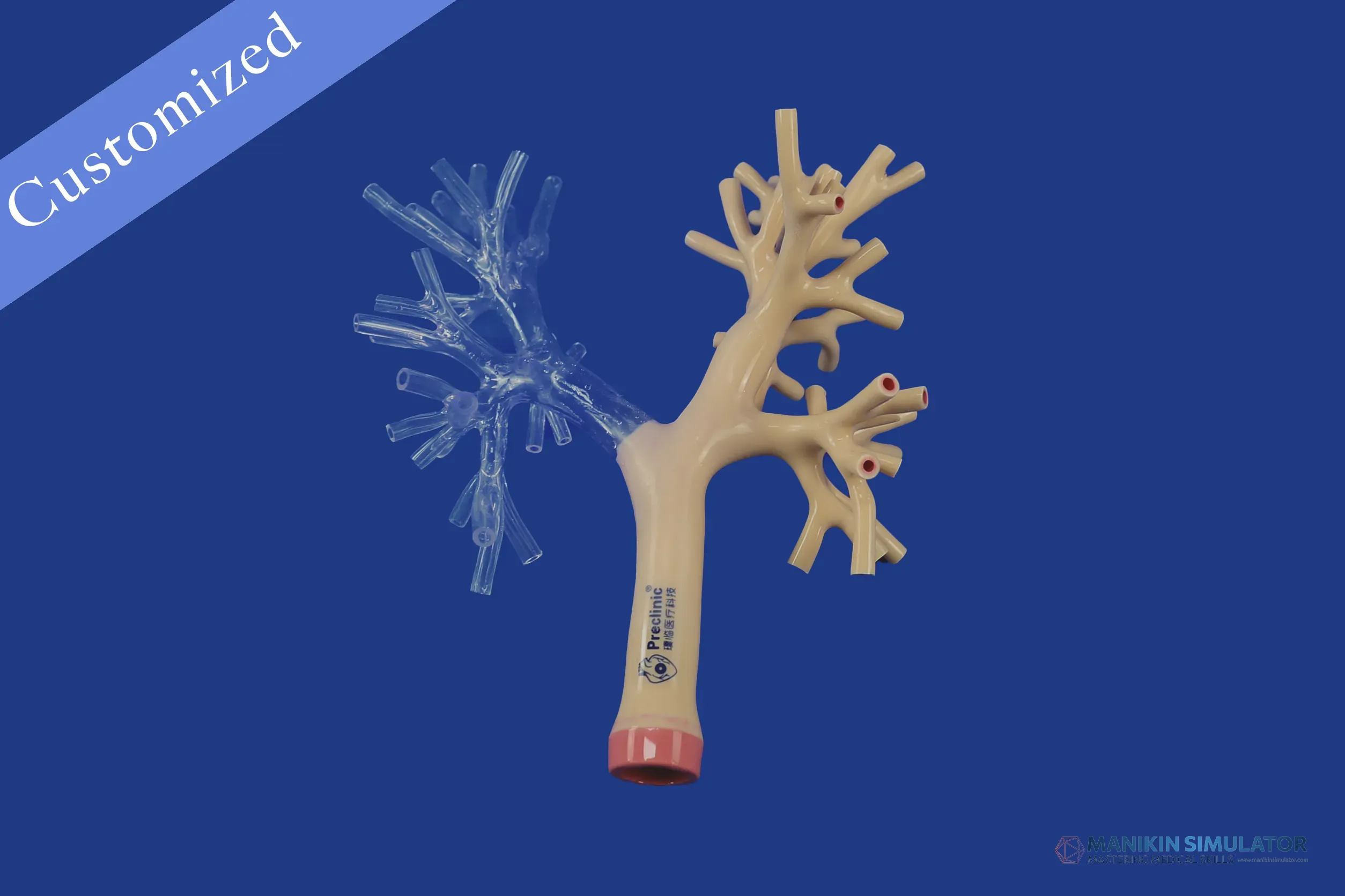 Drawing of Respiratory Category