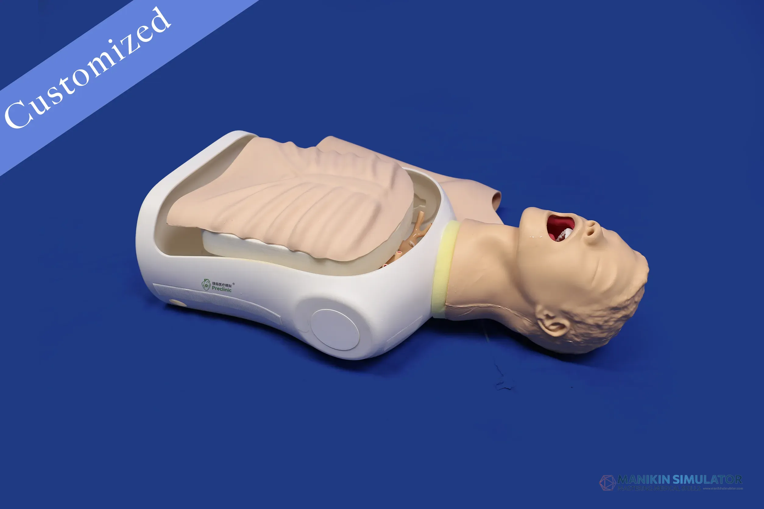 Drawing of Respiratory Category