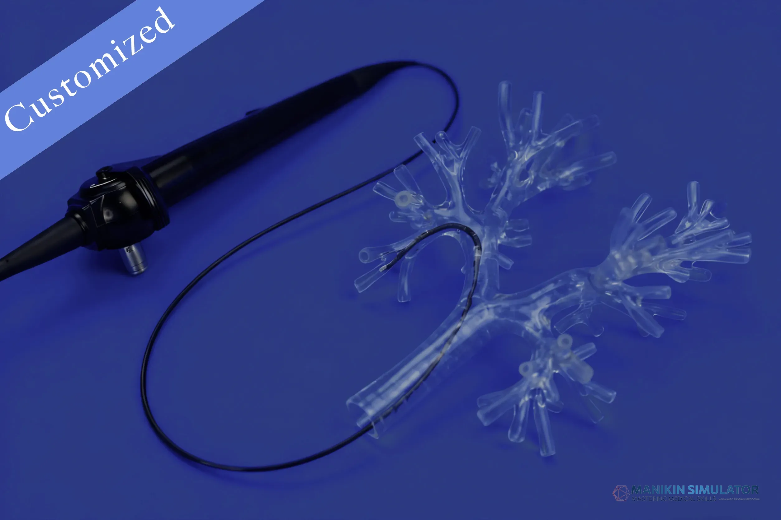 Drawing of Respiratory Category