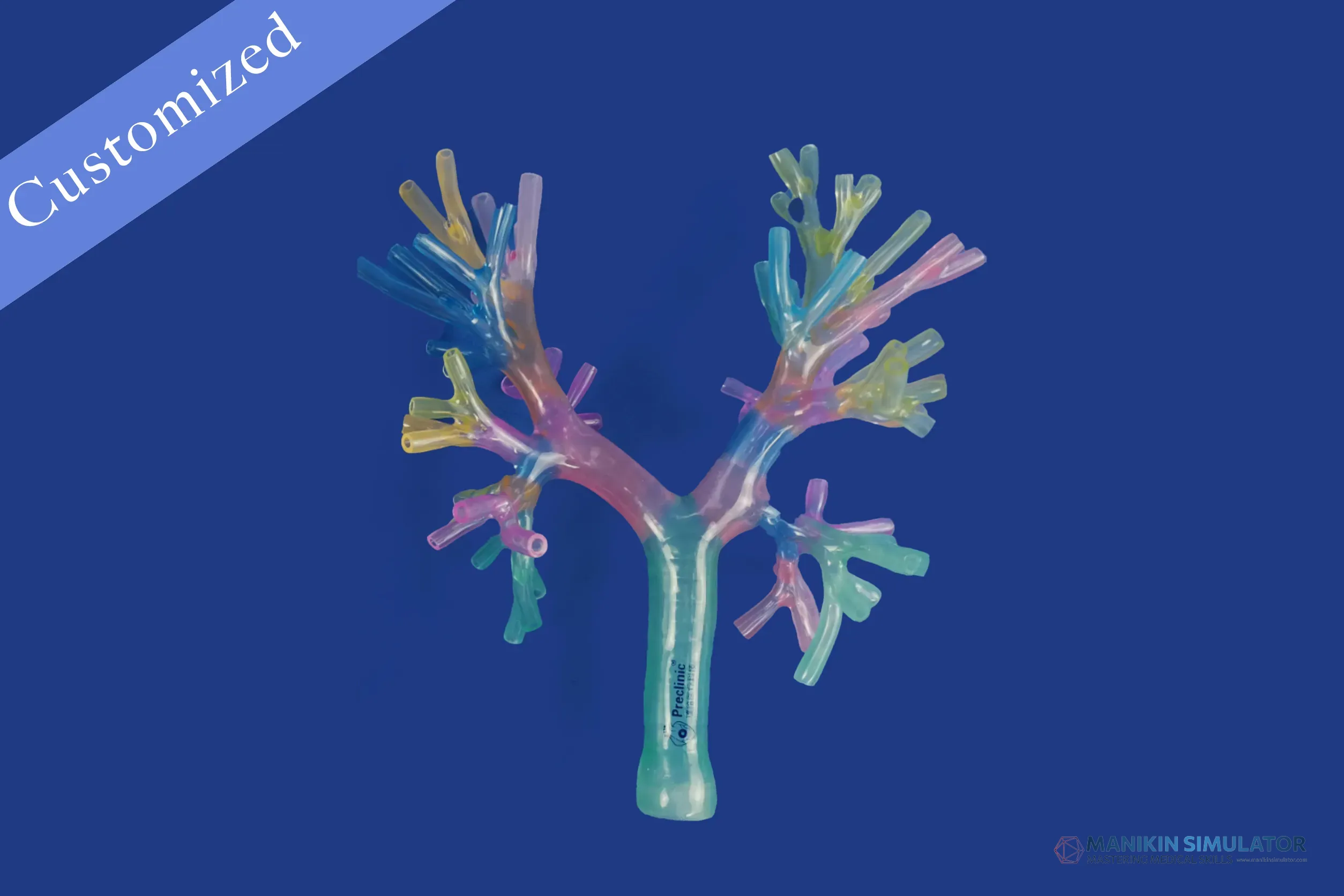Drawing of Respiratory Category