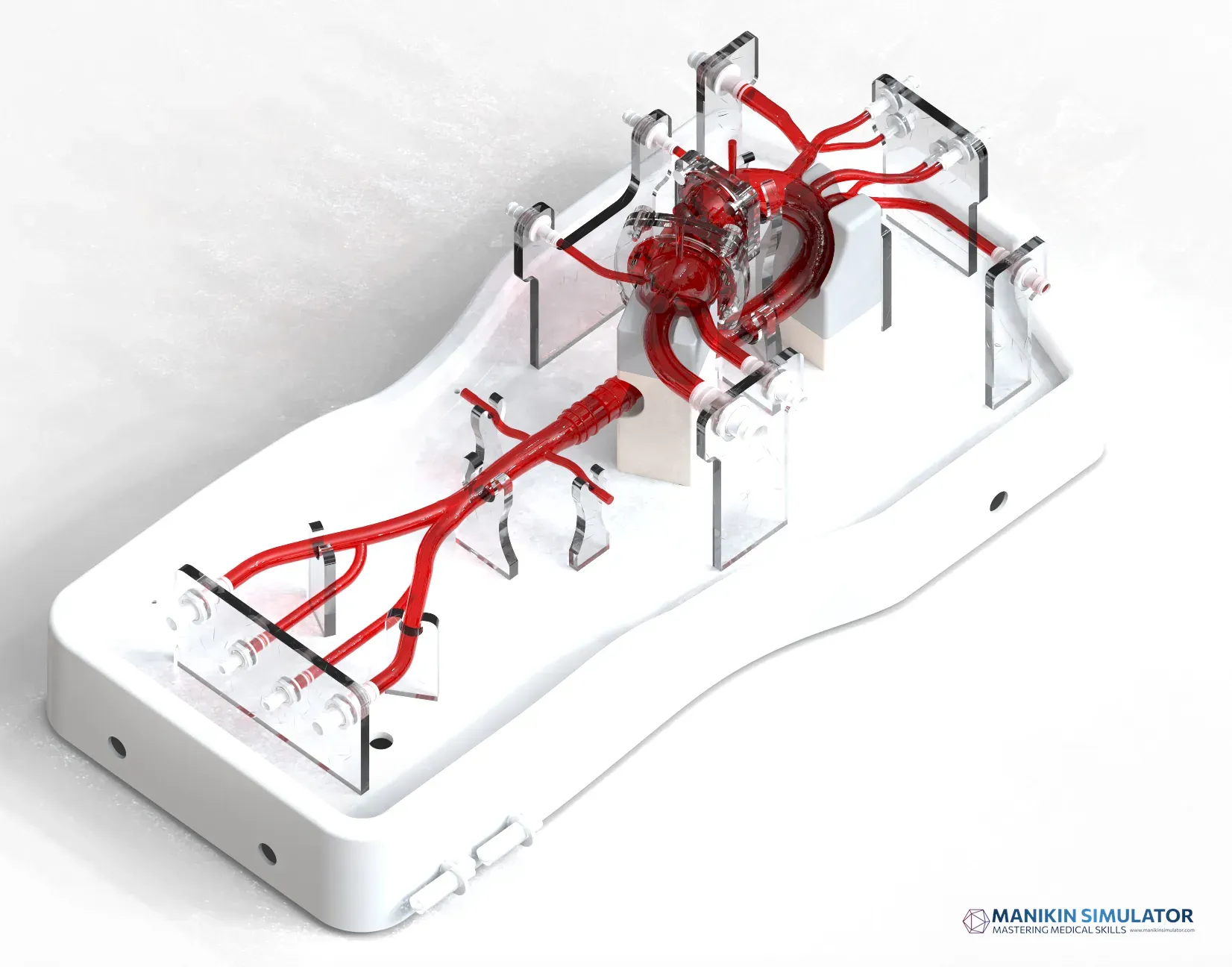 Drawing of TAVR Simulation Model Drawing of TAVR Simulation Model