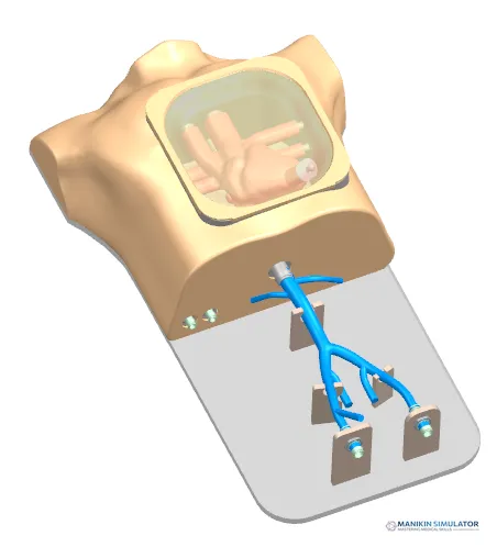 Drawing of Ultrasound Cardiac Training Model Drawing of Ultrasound Cardiac Training Model