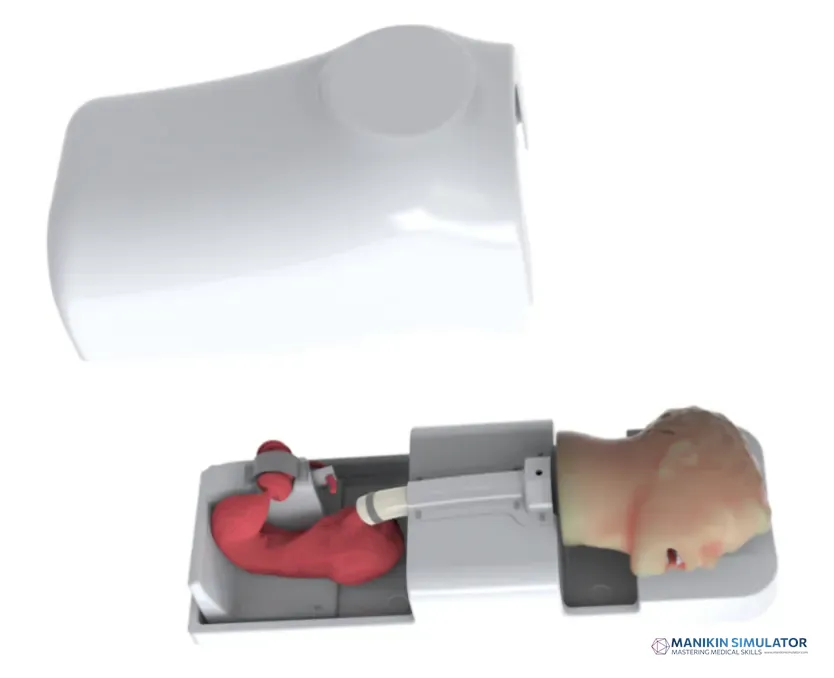 Drawing of Upper Gastrointestinal training model