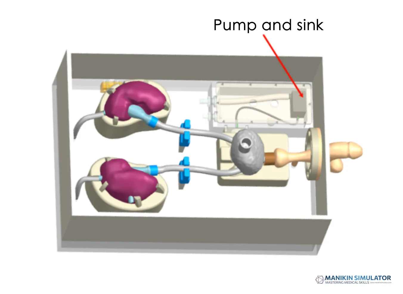 Drawing of Urological Endoscope Training Model (Acrylic version)