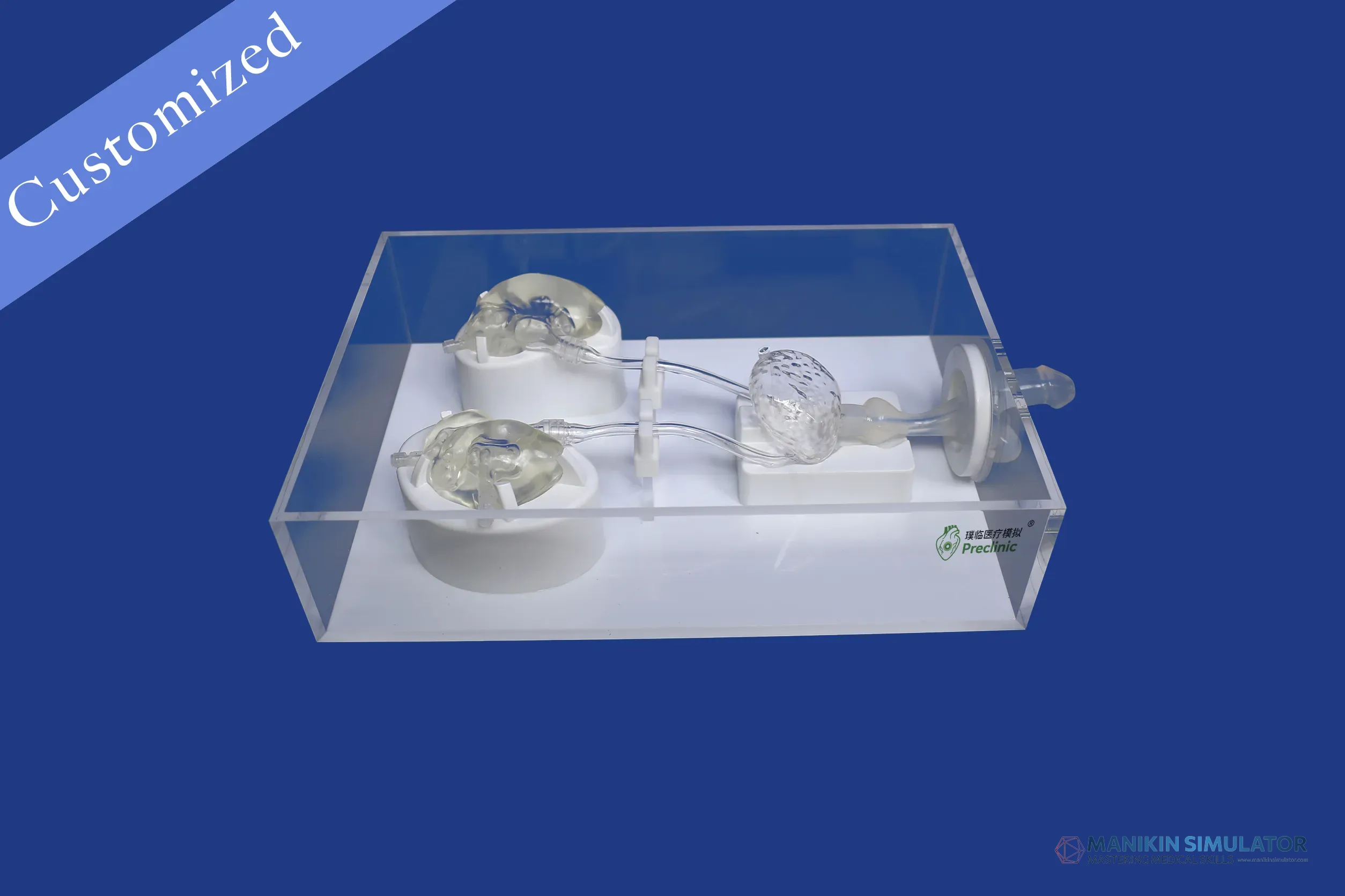 Drawing of Urology Category