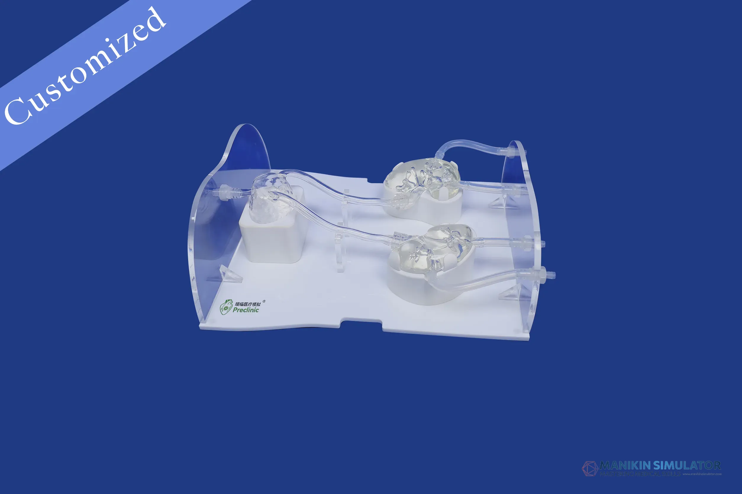 Drawing of Urology Category