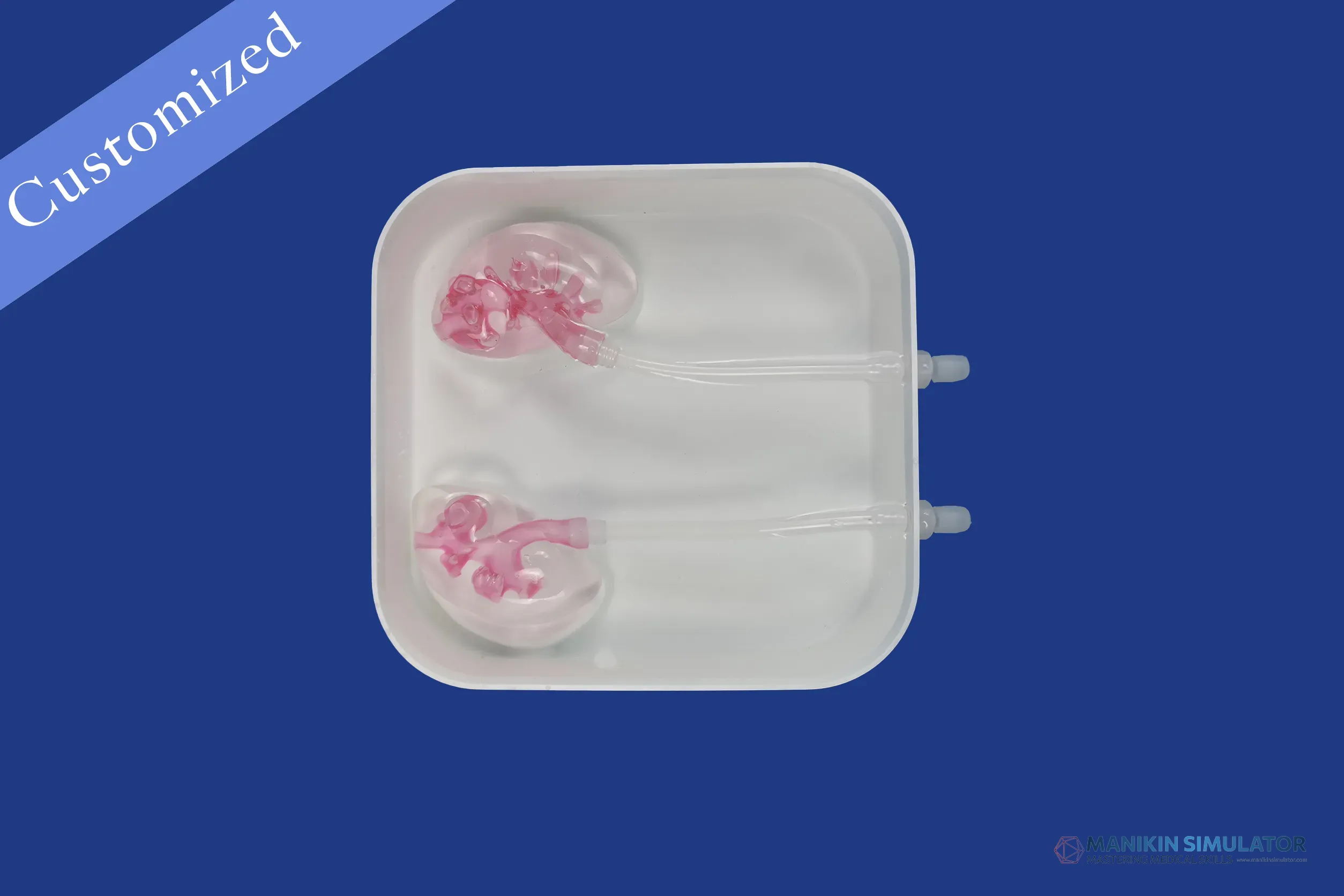 Drawing of Urology Category