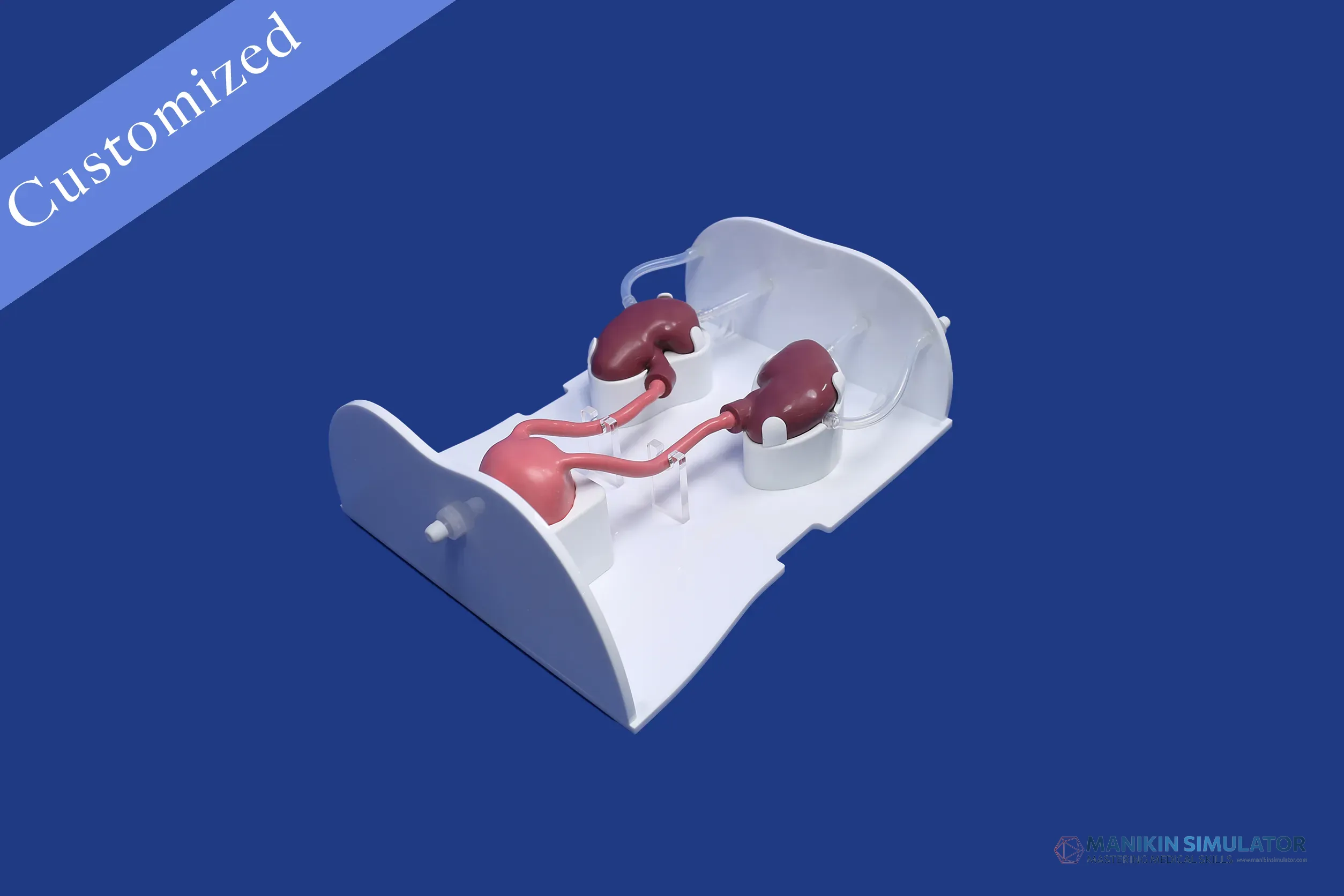 Drawing of Urology Category