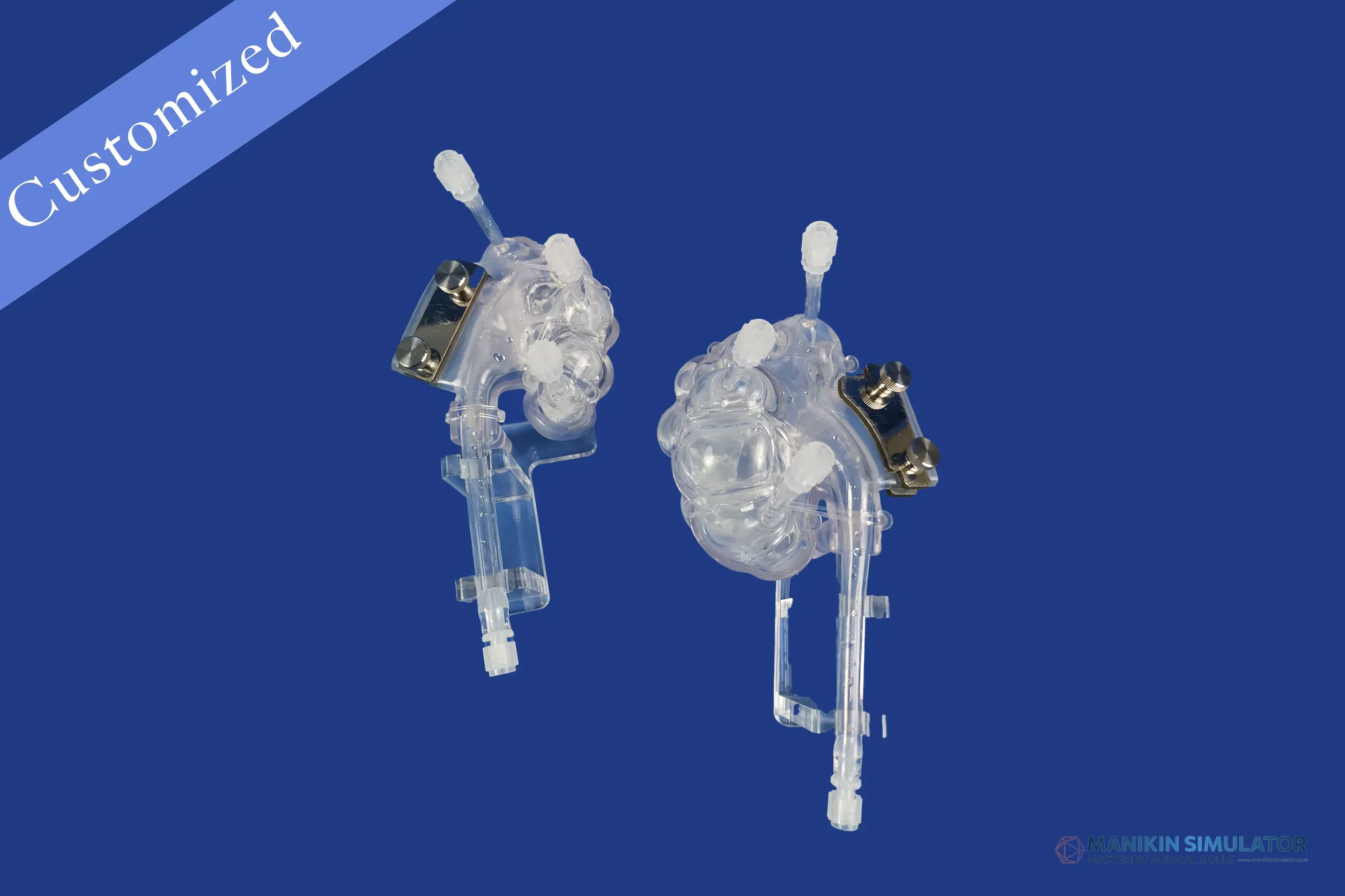 Drawing of Urology Category