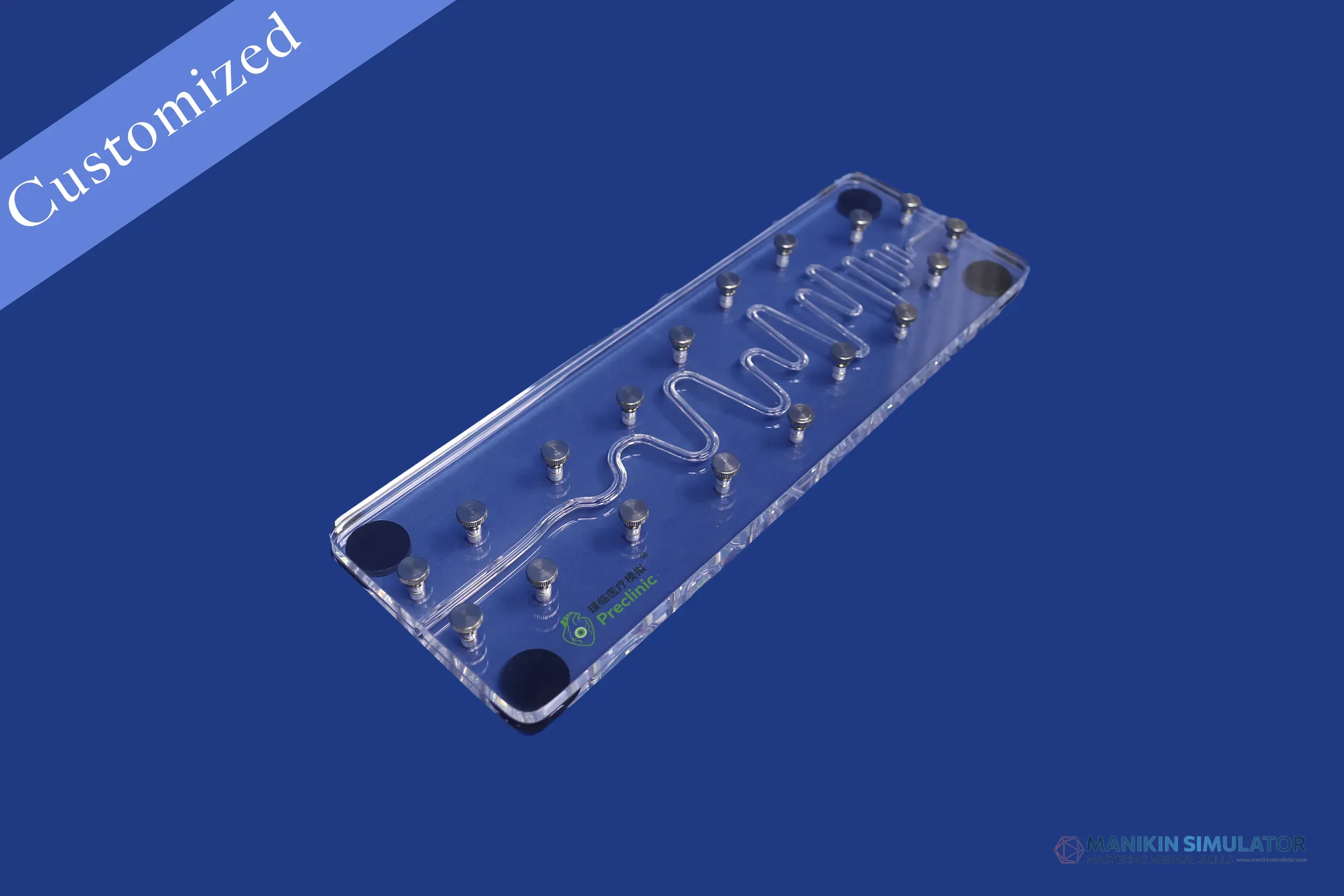 Drawing of Vascular Category Drawing of Vascular Category