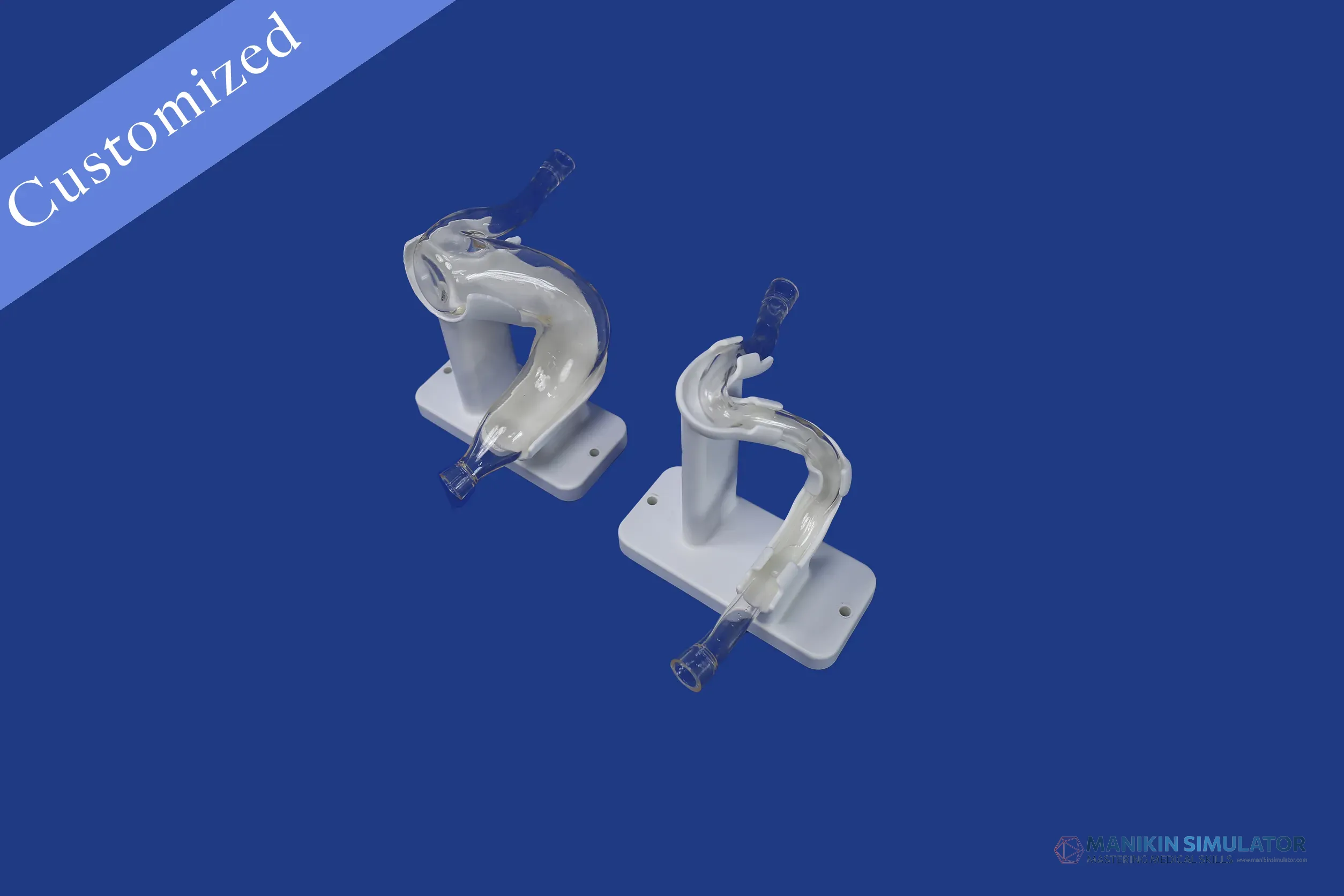 Drawing of Vascular Category Drawing of Vascular Category