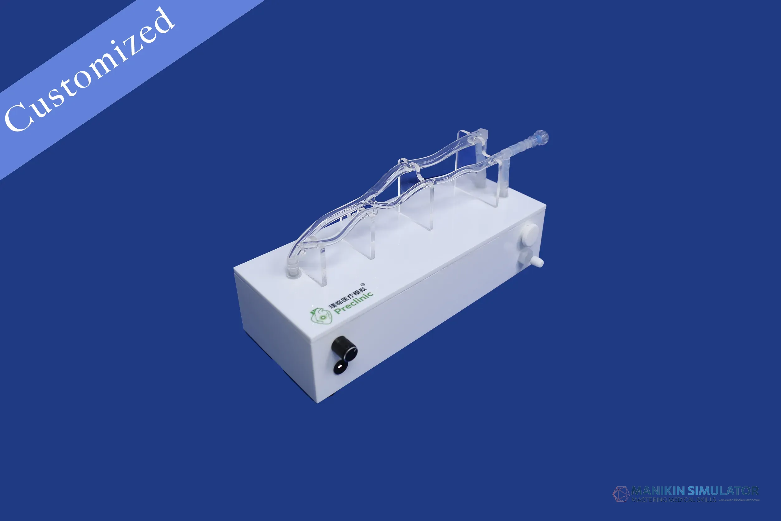 Drawing of Vascular Category Drawing of Vascular Category