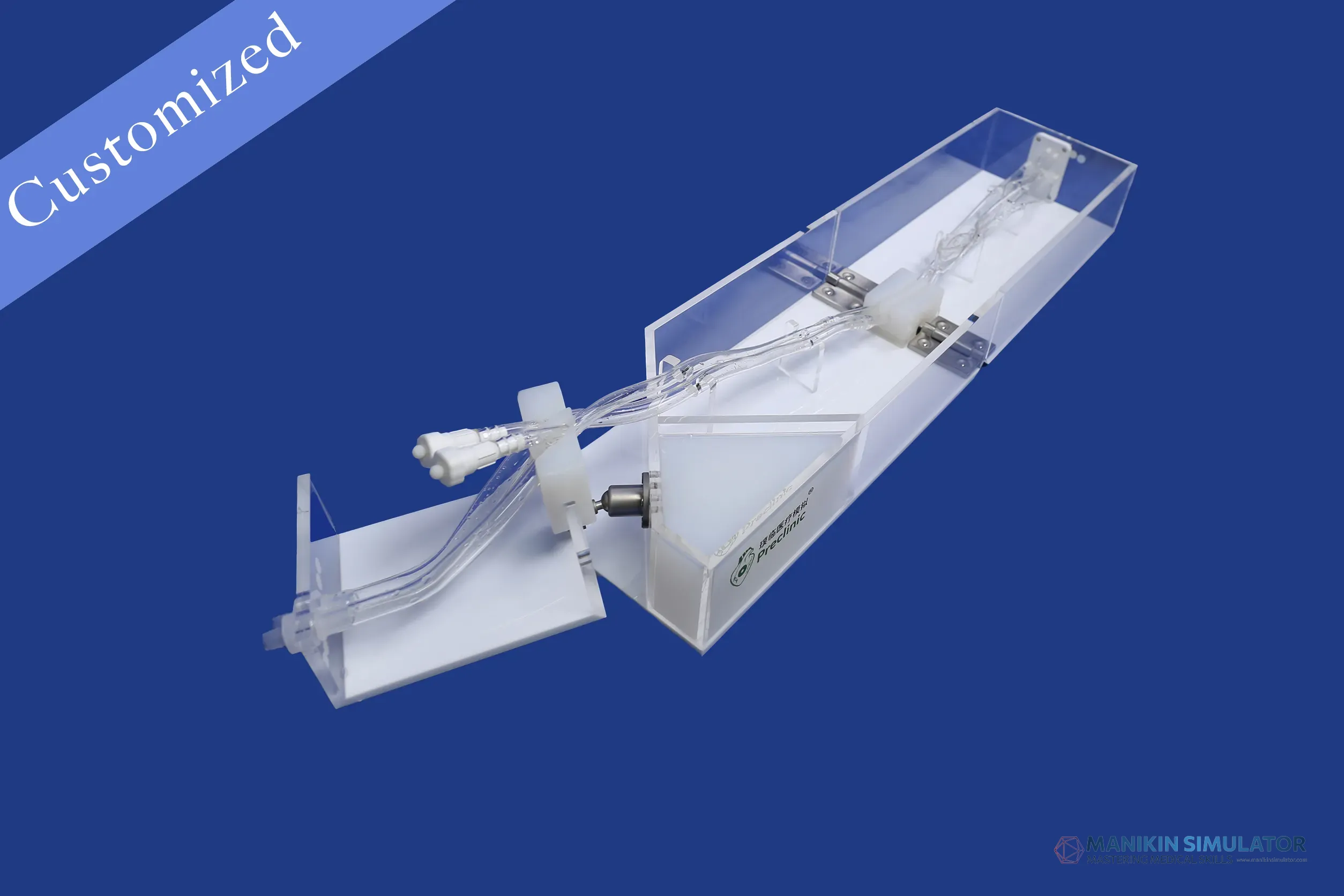 Drawing of Vascular Category Drawing of Vascular Category