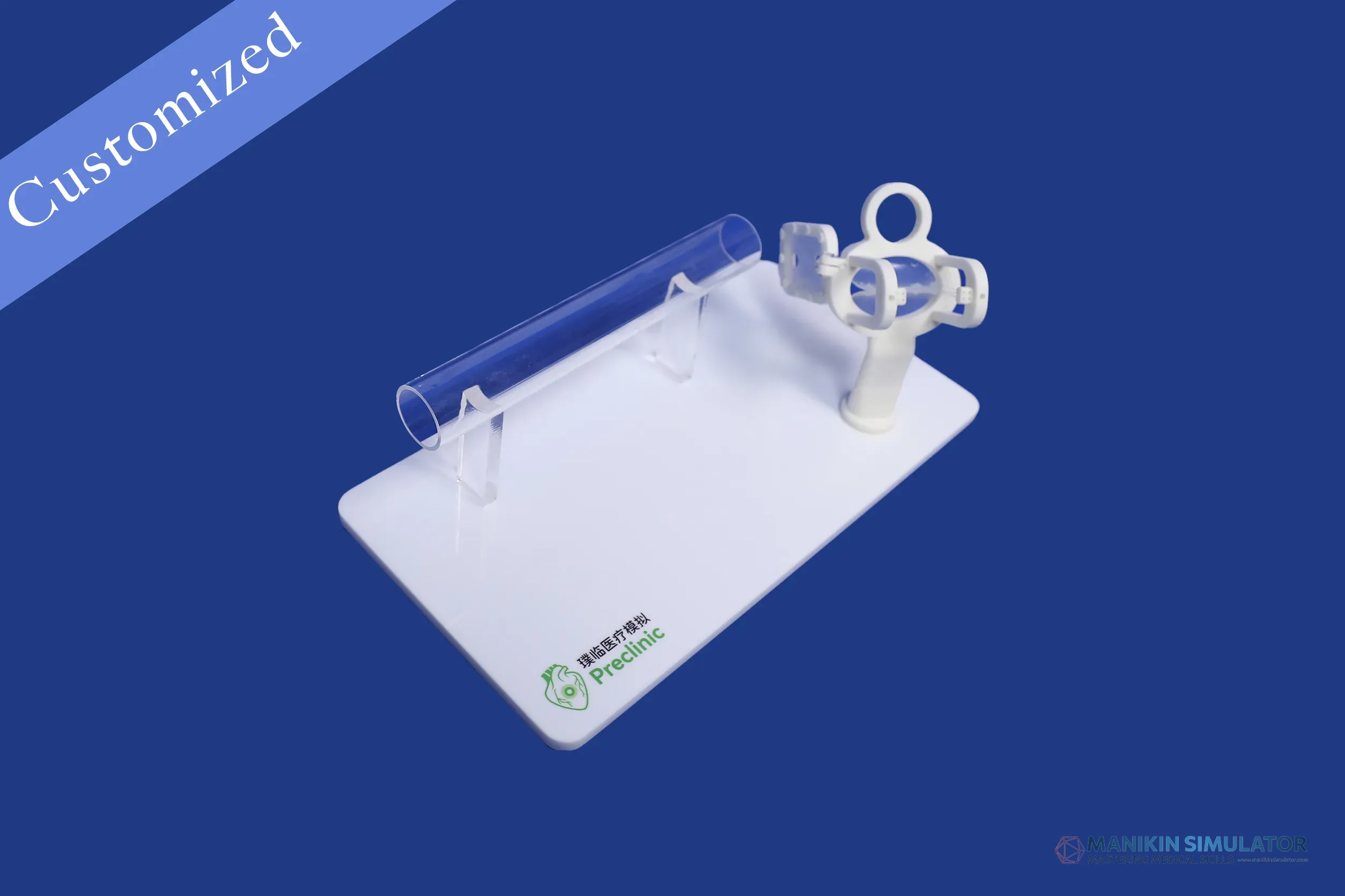 Drawing of Vascular Category Drawing of Vascular Category