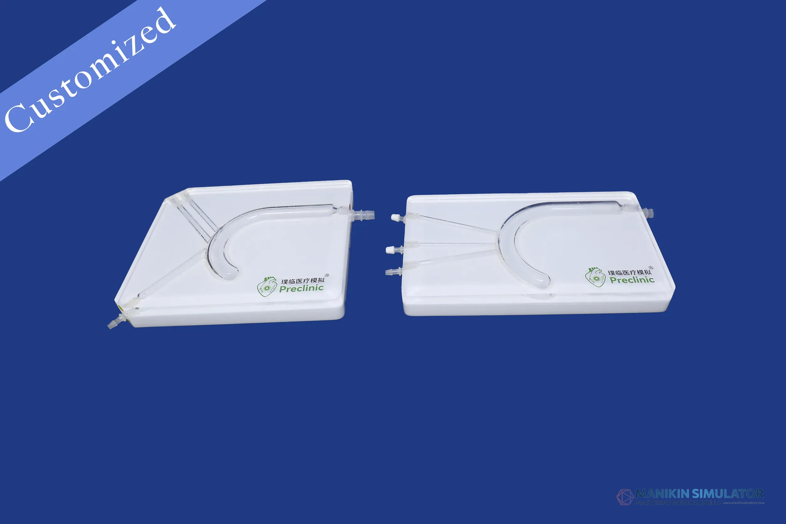 Drawing of Vascular Category Drawing of Vascular Category