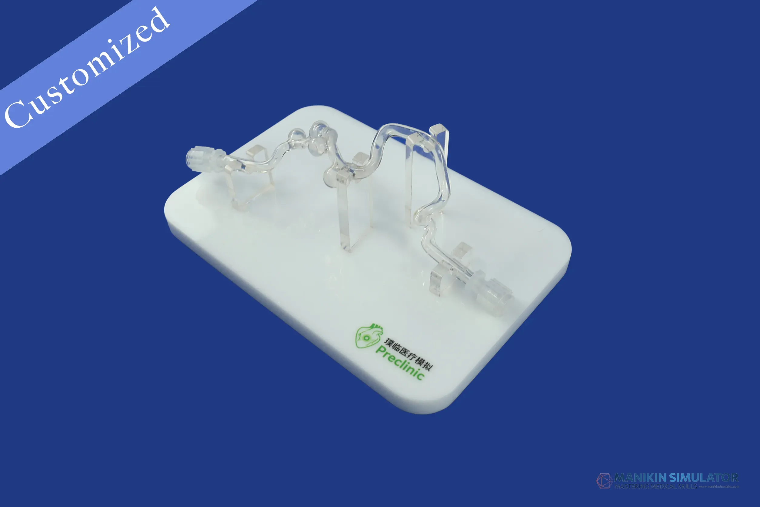 Drawing of Vascular Category Drawing of Vascular Category